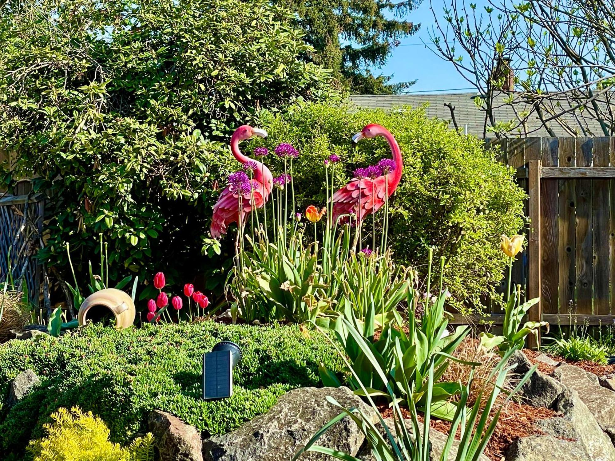 Colorful 50'S Ranch In The Heart Of Eugene 빌라 외부 사진