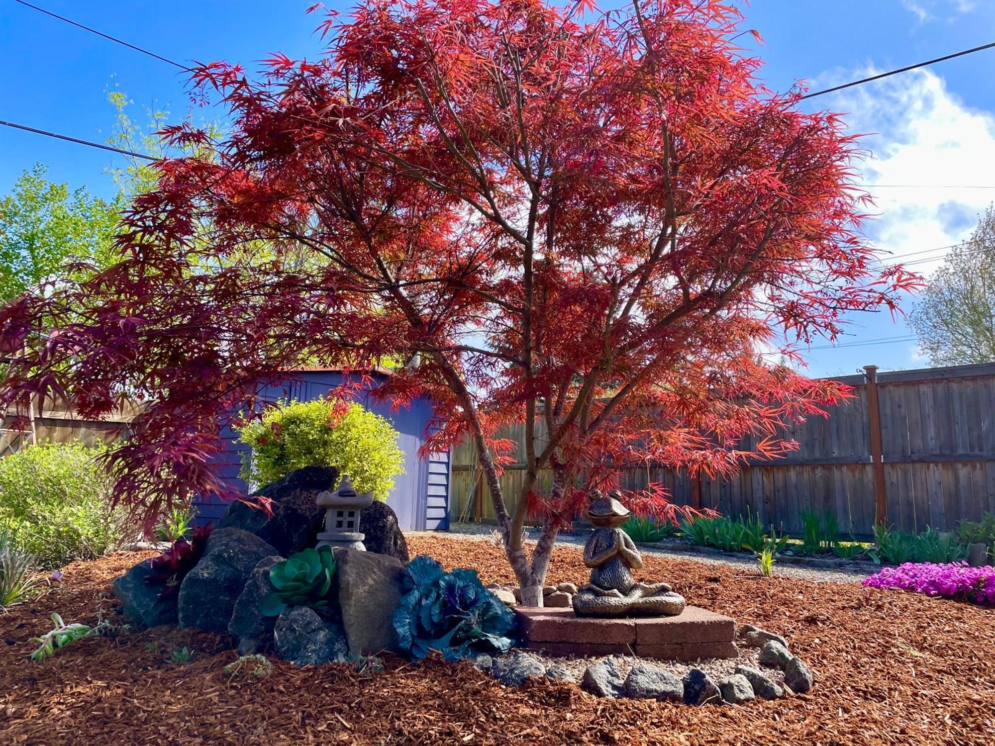 Colorful 50'S Ranch In The Heart Of Eugene 빌라 외부 사진